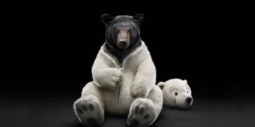 armadilhas na evidências cientificas urso em pele de ursinho de pelúcia